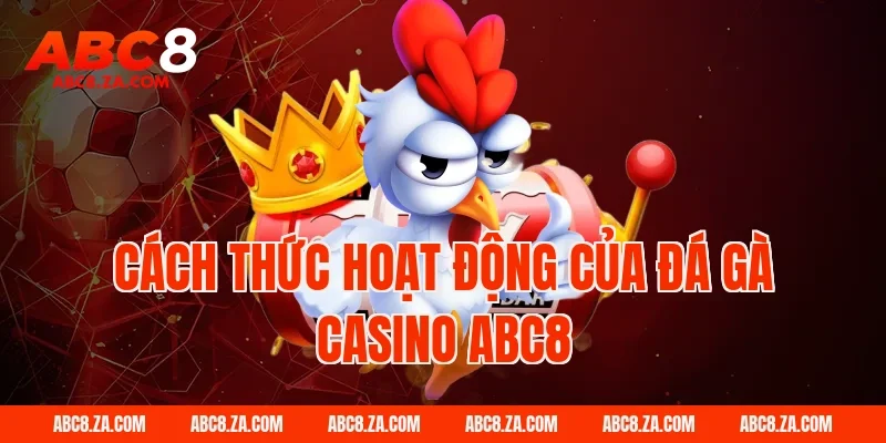 Cách thức hoạt động của đá gà casino ABC8