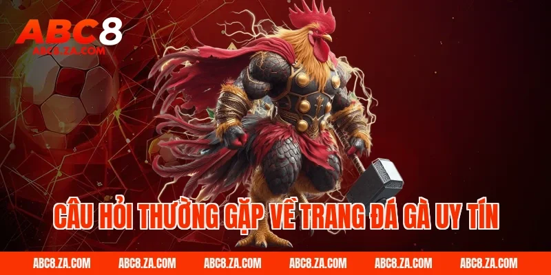 Câu hỏi thường gặp về trang đá gà uy tín ABC8