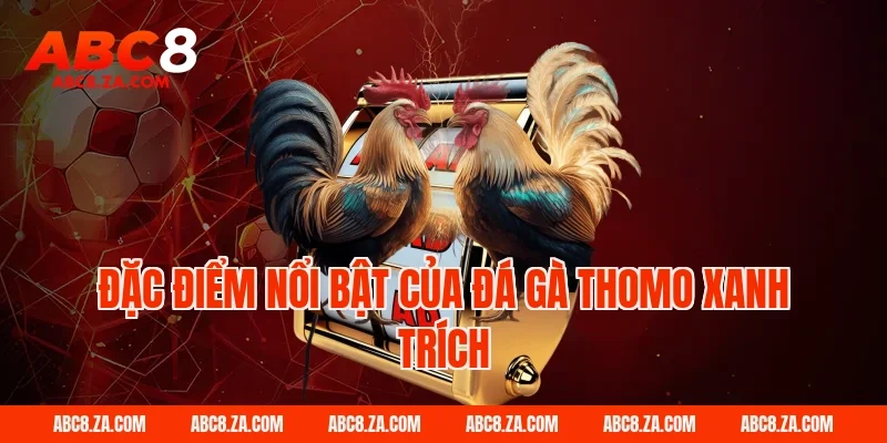 Đặc điểm nổi bật của đá gà thomo xanh trích tại ABC8