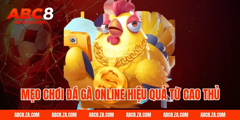 Mẹo chơi đá gà online hiệu quả từ cao thủ ABC8