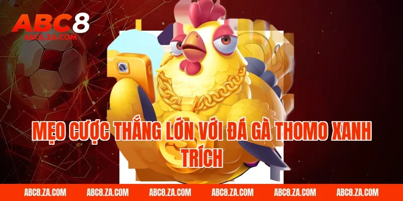 Mẹo cược thắng lớn với đá gà thomo xanh trích tại ABC8