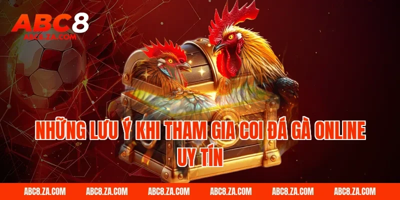 Những lưu ý khi tham gia coi đá gà online uy tín ABC8
