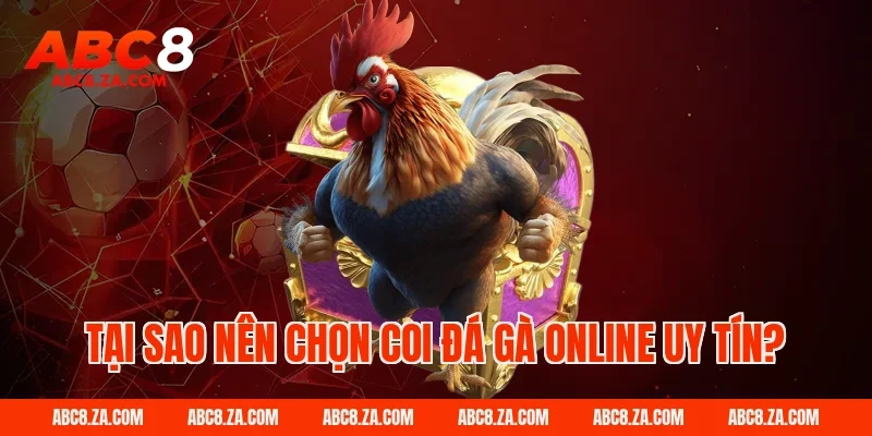 Tại sao nên chọn coi đá gà online uy tín ABC8?