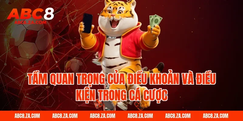 Tầm Quan Trọng Của Điều Khoản Và Điều Kiện Trong Cá Cược Tại ABC8