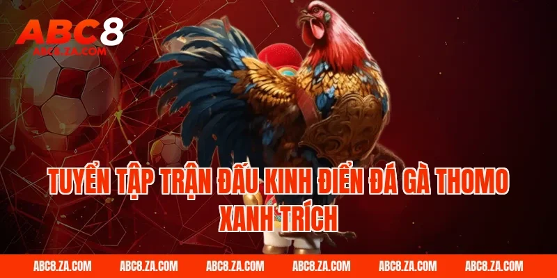 Tuyển tập trận đấu kinh điển đá gà thomo xanh trích tại ABC8